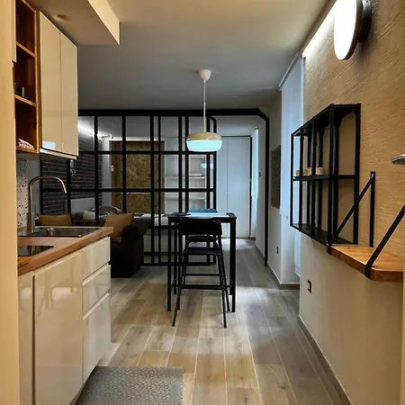 Apartment Studio Loft One